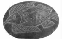 Ica stone depicting an allegedly extinct fish: another fish story?