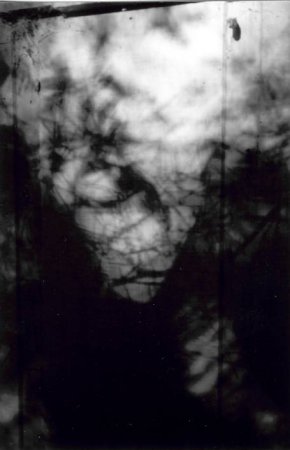 Photo by Fred Ressler - used with permission