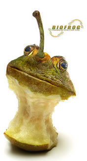 frogapple