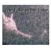 The Fake in the Lake