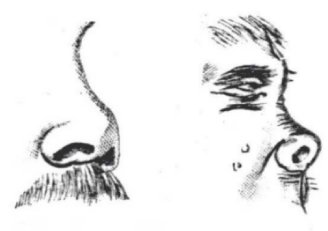 from M.O. Stanton, The Encyclopedia of Face and Form Reading, 1920